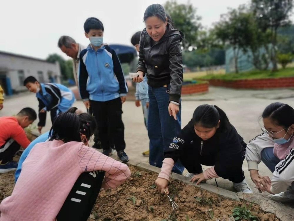 小学生自己种的油菜花开了