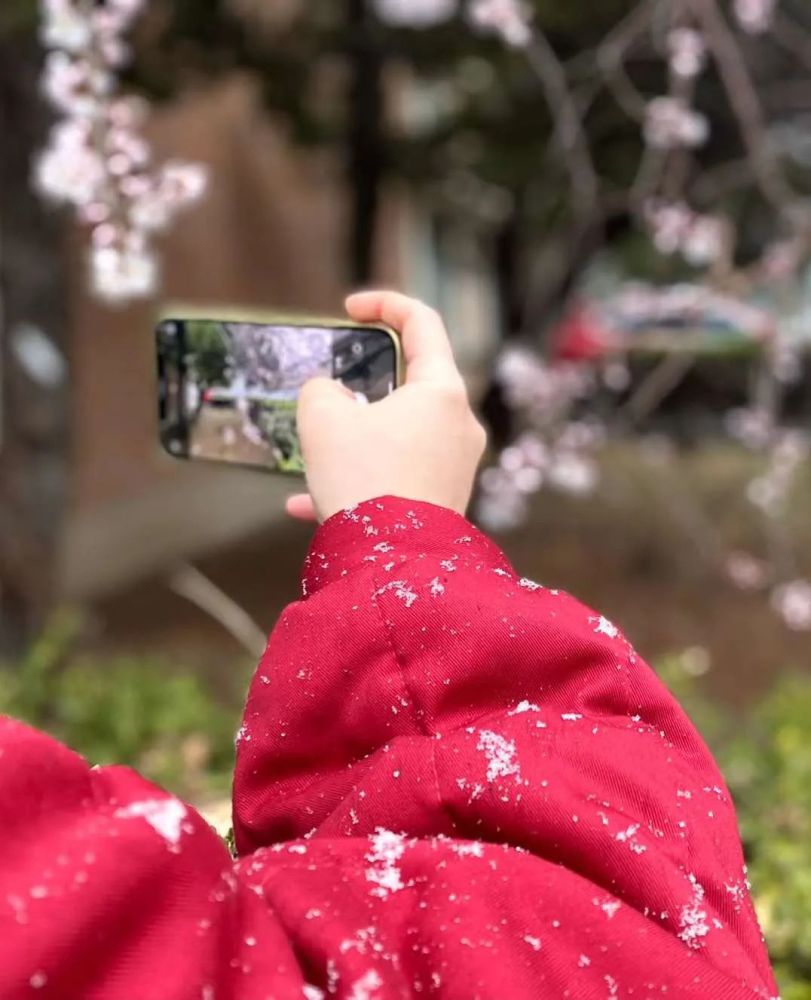 全民自發無獎影賽雪後初晴春光有情