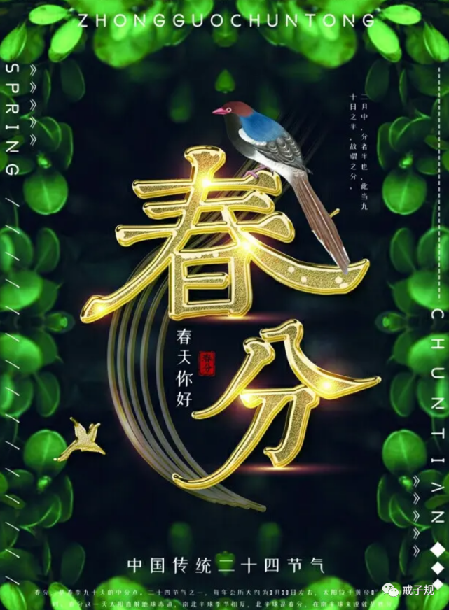 2022年春分节气问候祝福语动态表情图片,春分问候祝福朋友的句子
