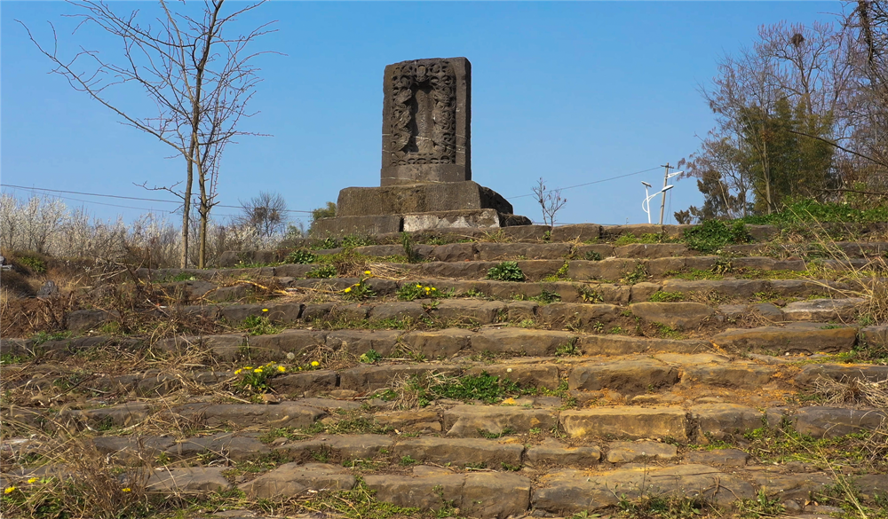 看完这些故事才真正了解杨家湾