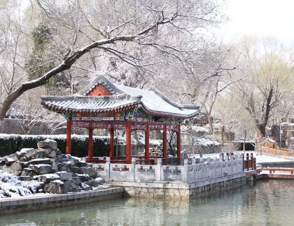 当春花遇上春雪，京城校园美成了一首诗！600351亚宝药业