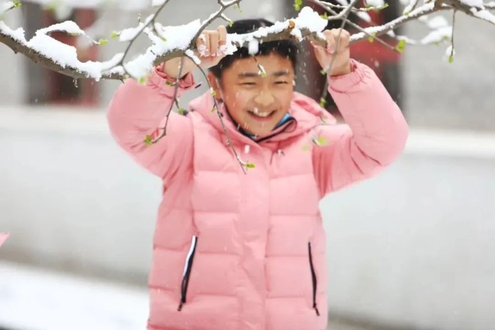 当春花遇上春雪，京城校园美成了一首诗！600351亚宝药业