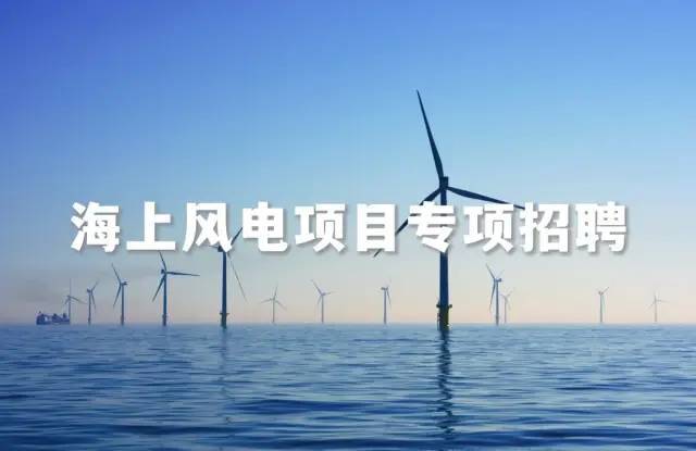 上海公司招聘_林洋能源科技(上海)有限公司