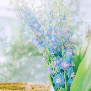 简约好看的小清新微信风景头像精选 唯美清新淡雅微信头像简约干净