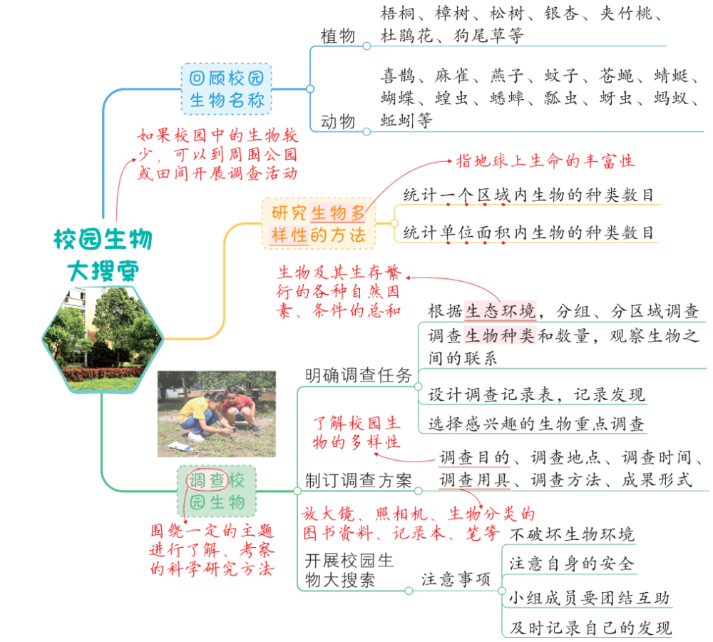 第二单元 生物的多样性第一单元 小小工程师