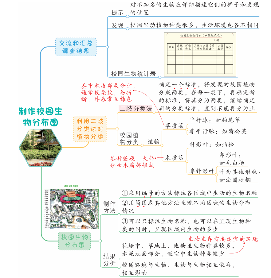 教科版科學六年級下冊第二單元思維導圖(每課都有)_騰訊新聞