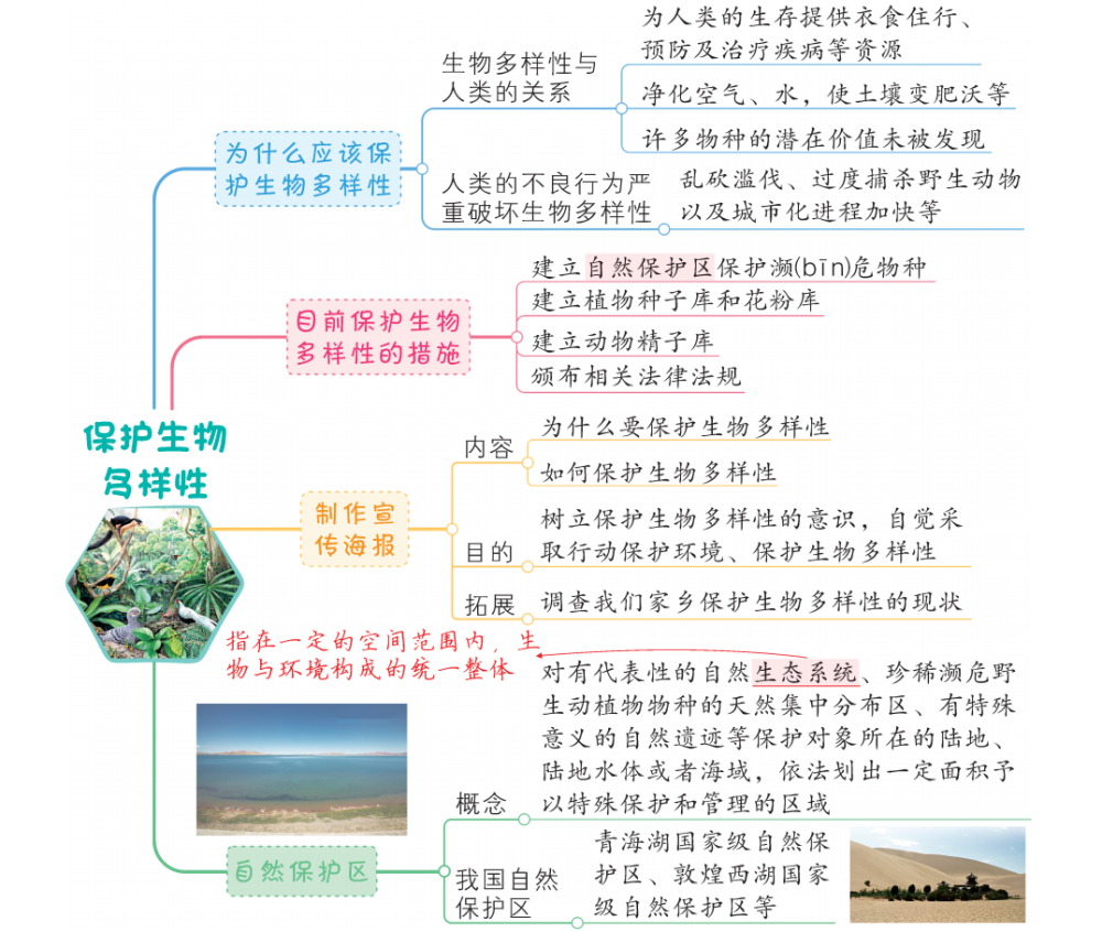 教科版科學六年級下冊第二單元思維導圖(每課都有)_騰訊新聞