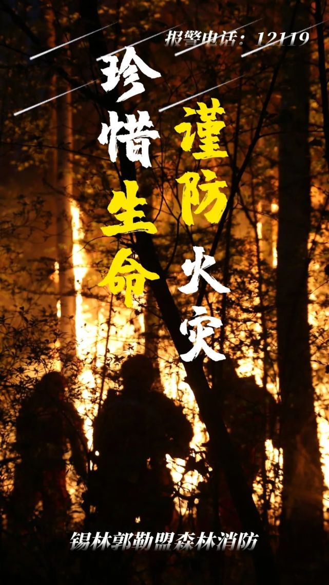 海报丨谨防森林火灾,守护绿色家园!