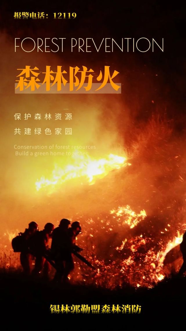 海报丨谨防森林火灾,守护绿色家园!
