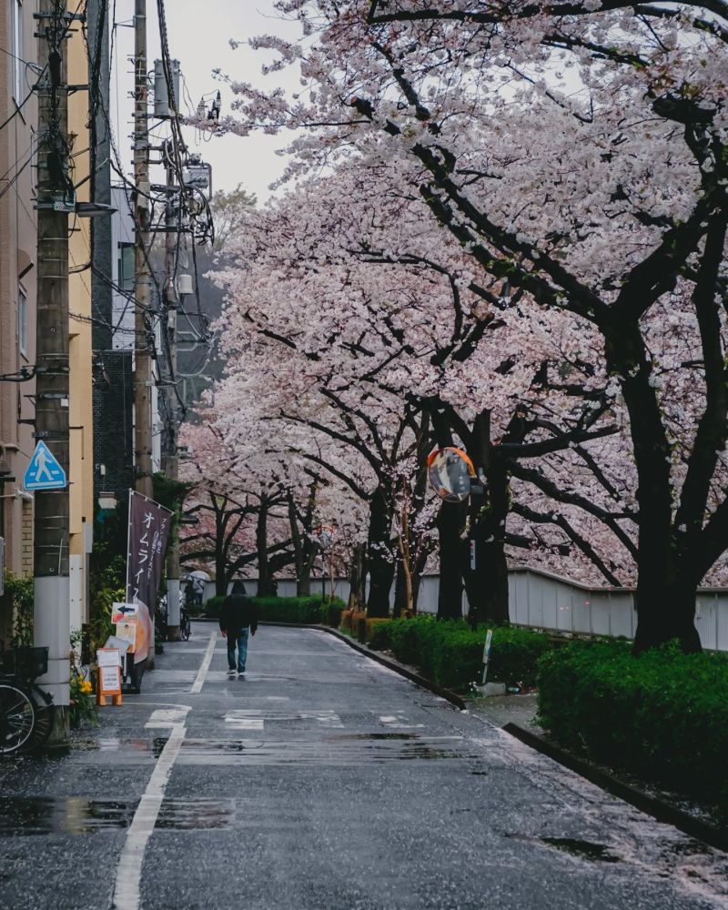 日本東京街頭風景