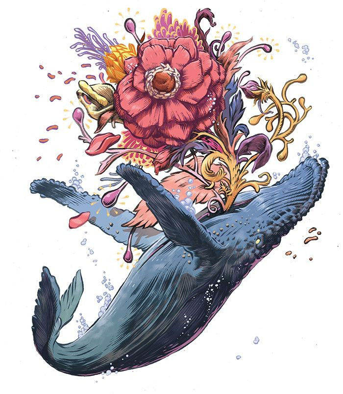 台州曾救活9头搁浅鲸鱼这次大连9头鲸鱼搁浅为何要劝人离开