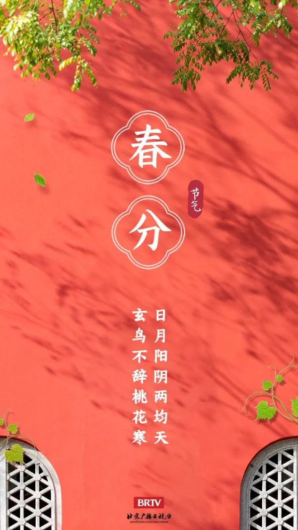 春分丨玄鸟春归 四时有秩