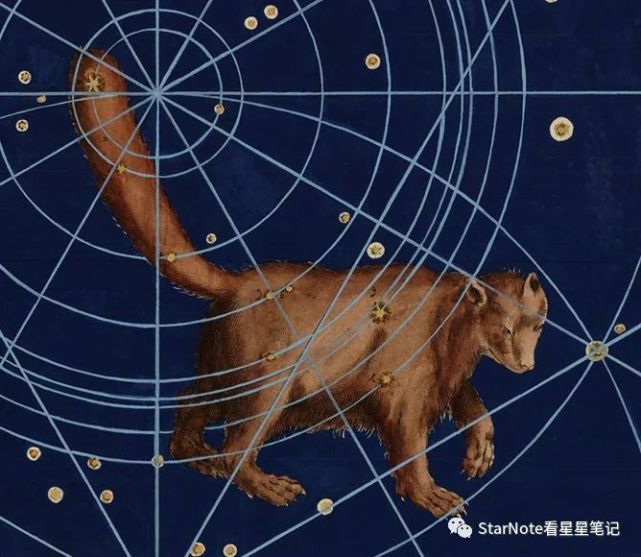 星见闻|恒星故事之小熊座