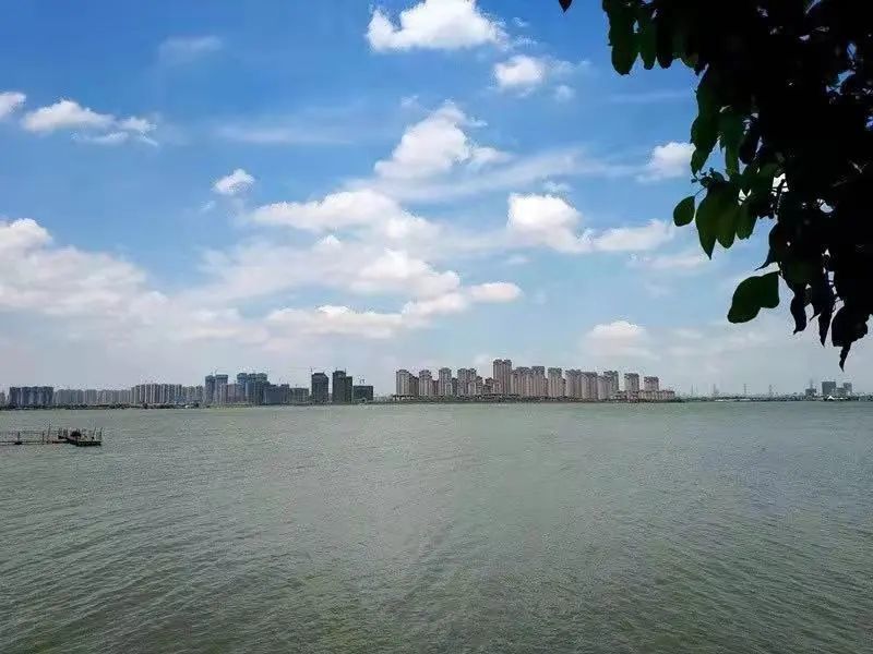 武汉青菱湖图片