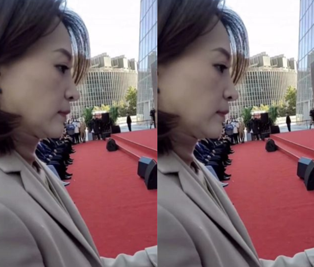 48岁董卿近况曝光显疲惫,皮肤松弛下巴变胖,老公被曝失联1个多月