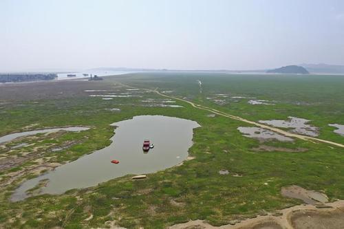 荒山坡的蜕变人类的行为已经严重破坏了地球生态系统,大规模围湖造田