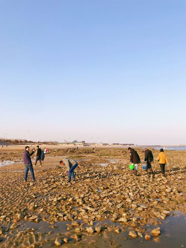 劉家灣趕海園怎麼玩日照收費趕海地