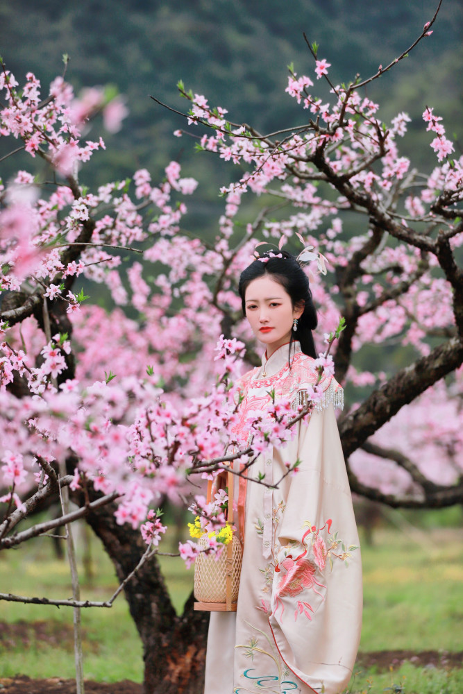 浙江天台十里桃花开十里铁甲龙