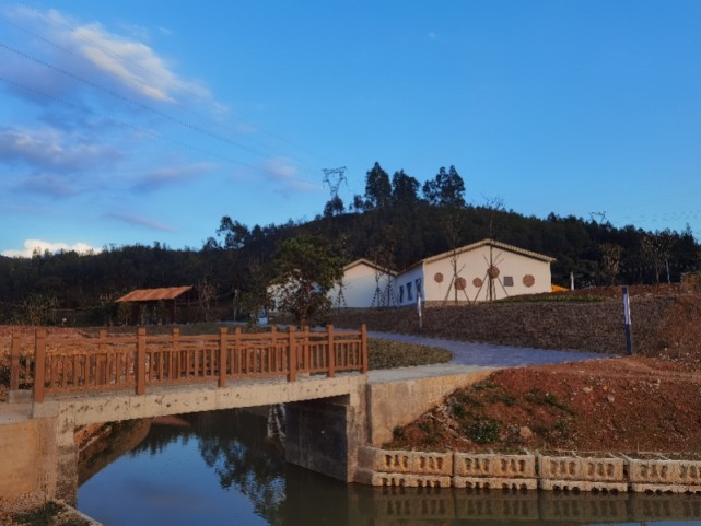 惠东平山黄花风铃木,刷爆朋友圈!最佳打卡点在碧山村大湖洋