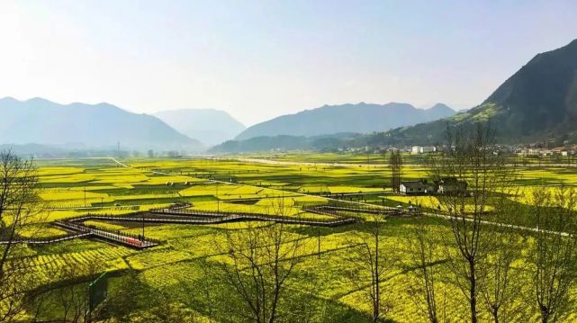 南郑区·观花点观花点:阳春镇陈村,高山镇尖山沟,协税镇张坪,法镇后