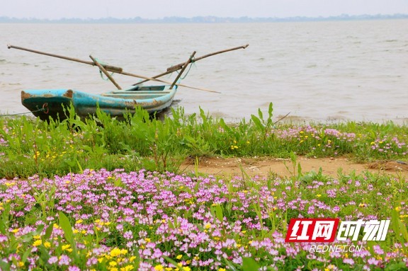 益阳来仪湖湿地公园图片