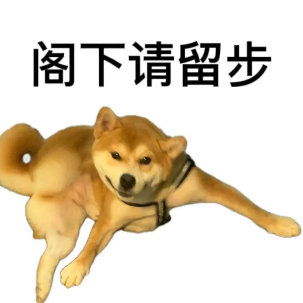 表情包来源网络,侵删长按扫码可关注是一个等待你挖掘的大宝藏呀
