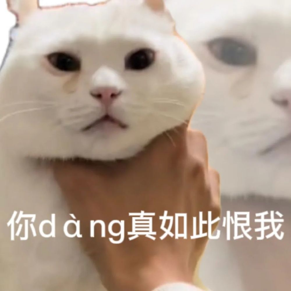 很土很怪的一些猫猫狗狗表情包