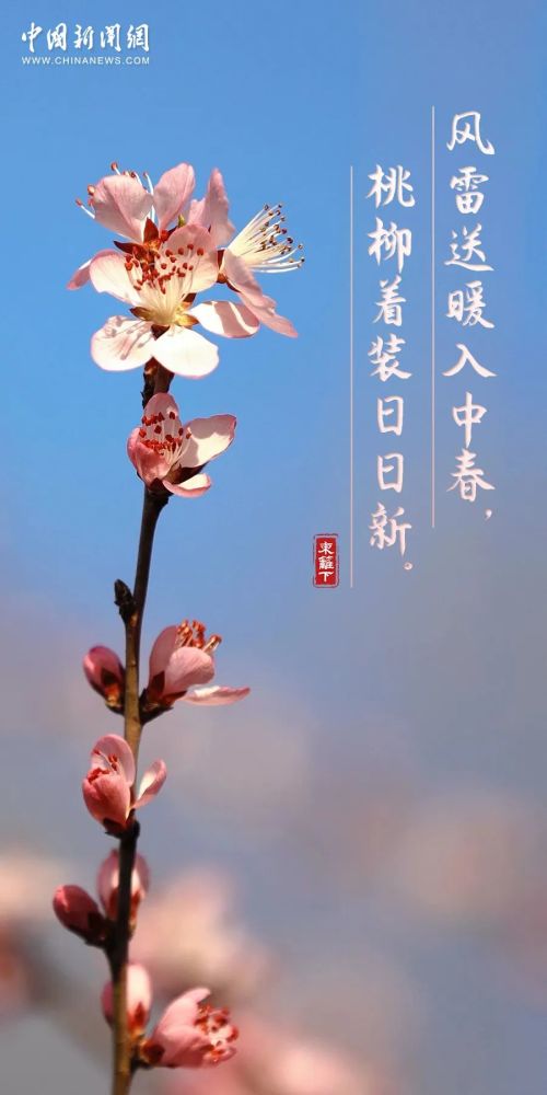 春分到 花枝俏 天天看点