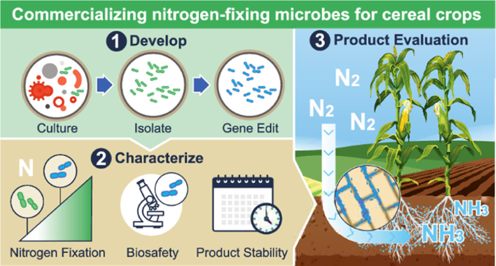 取之于土用之于土pivotbio释放土壤中微生物的固氮潜力