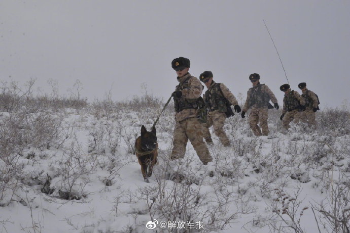 三月，边防军人踏雪巡边新编人教语文五年级上