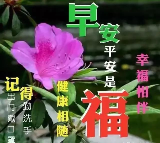 週一春季早上好問候動態表情圖片帶字帶祝福語_騰訊新聞