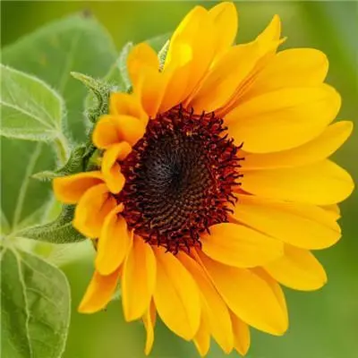 女人最适合的微信头像2022女人最旺财的微信头像简约干净