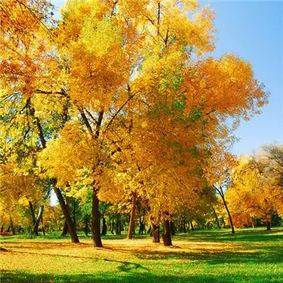 女人最适合的微信头像2022女人最旺财的微信头像简约干净