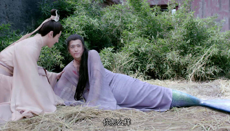 但只是剧中一个无足轻重的小副本,在很多电视剧里,鲛人的设定都是长相