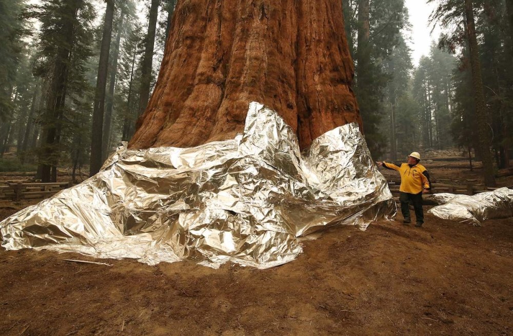 泽连斯基：如果与普京的谈判无法成功，将引发第三次世界大战三年级英语卷子写评语