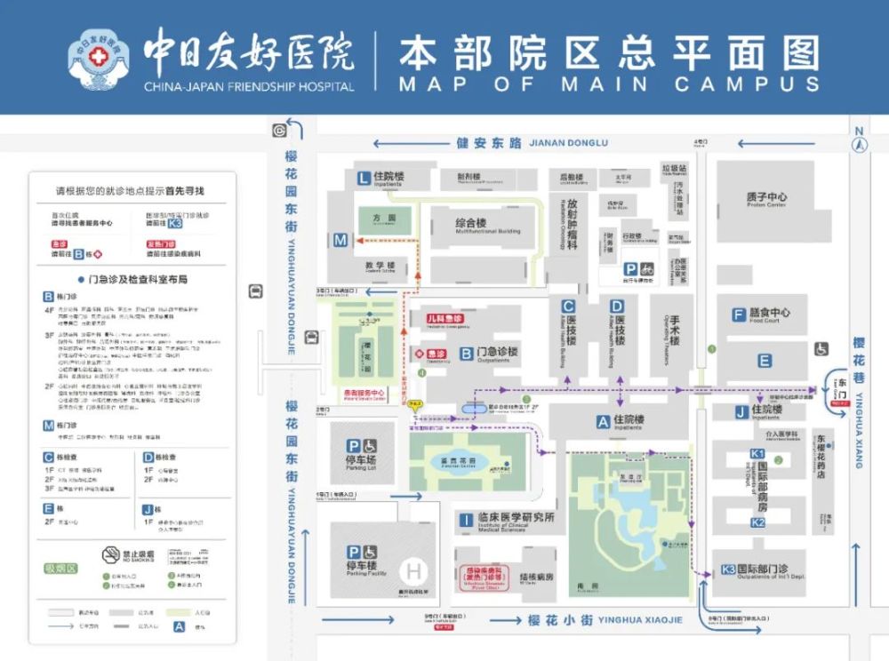 中日友好医院平面图图片