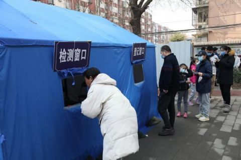 在北京，我们怎么提升森林的生物多样性？在线外教课还能上吗