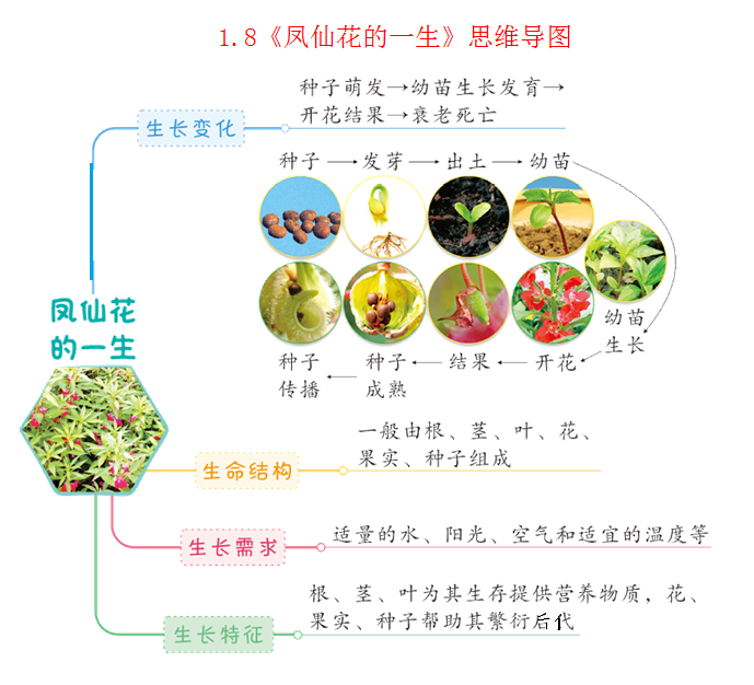 教科版四年级科学下册全册思维导图汇编文末下载
