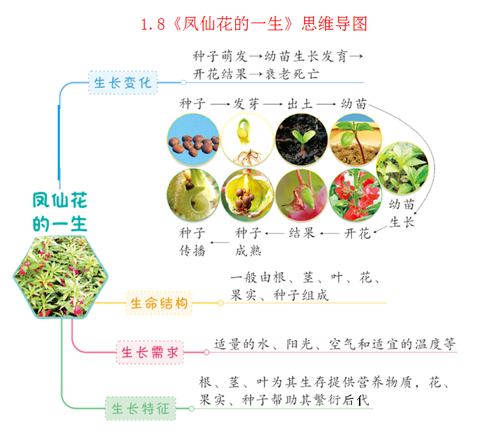 的生長變化教科版四年級科學下冊全冊思維導圖2第三單元 岩石與土壤