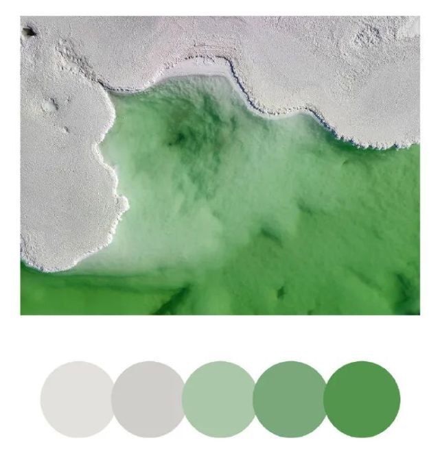 来自大自然的六大配色方案