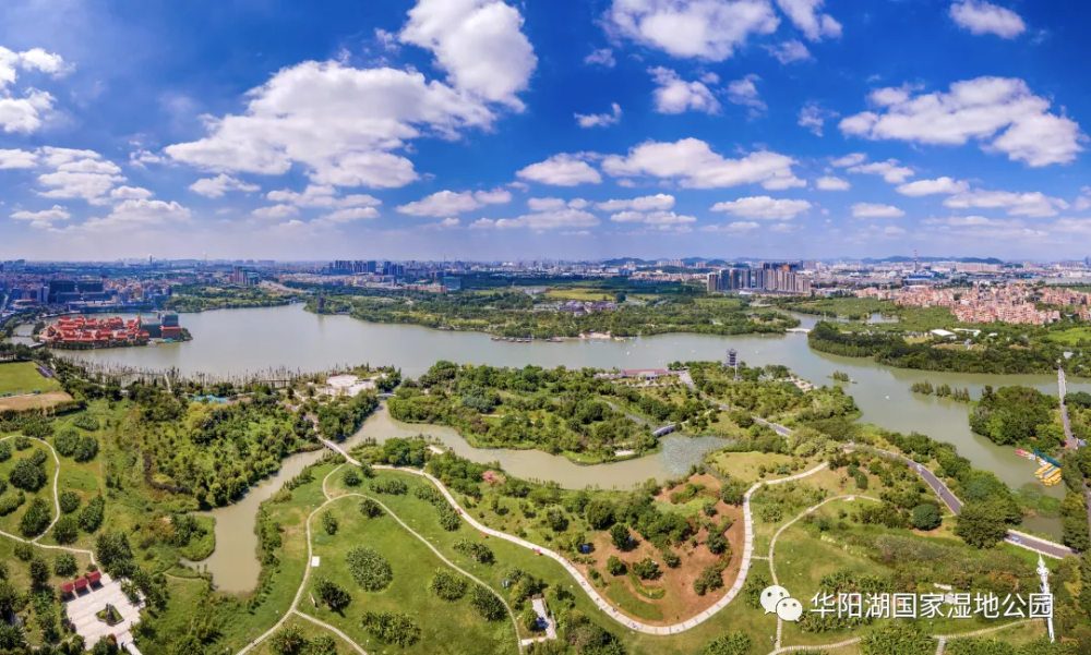 南城看西平,麻涌看哪里?_腾讯新闻