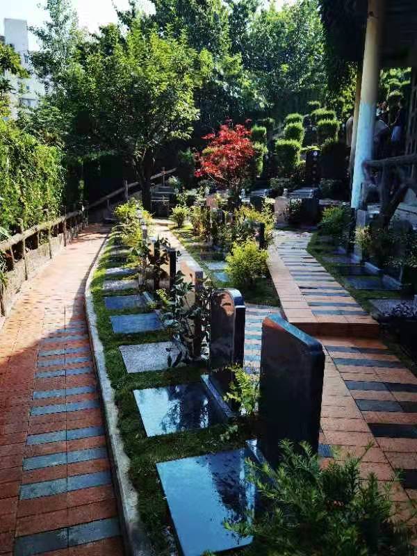 清明节期间贵阳9家公墓拟开展免费节地安葬活动