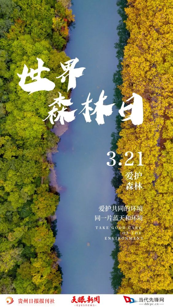 2022年3月21日,是世界森林日.今年的主題是森林與可持續