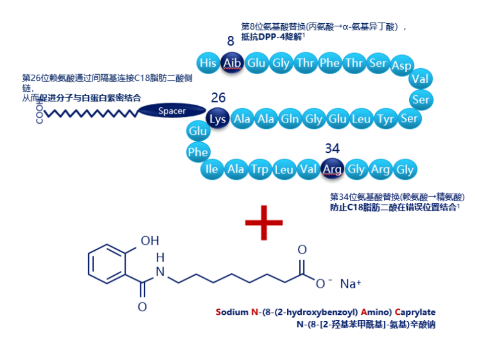 相信大家都很瞭解了,圖1中展示的是司美格魯肽注射周製劑的肽鏈結構