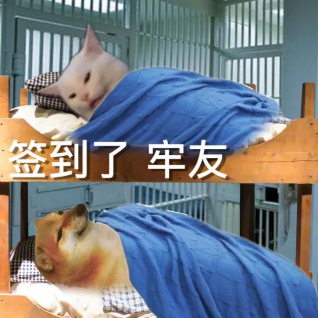 大学生封校上网课表情包 签到了宝子们