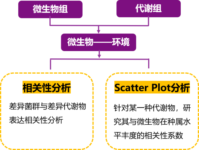 微生物研究也可以多组学?这两个策略你必须了解
