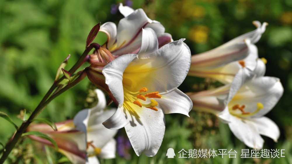 3月22日 26日爱情运势 两情相悦 幸福甜蜜的四大星座 天天看点