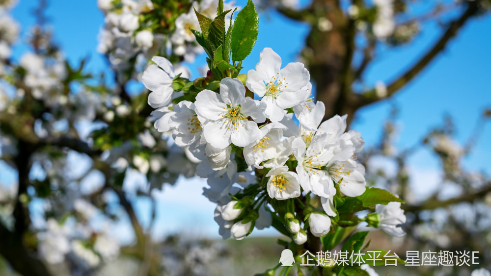 3月22日 26日愛情運勢 兩情相悅 幸福甜蜜的四大星座 天天看點