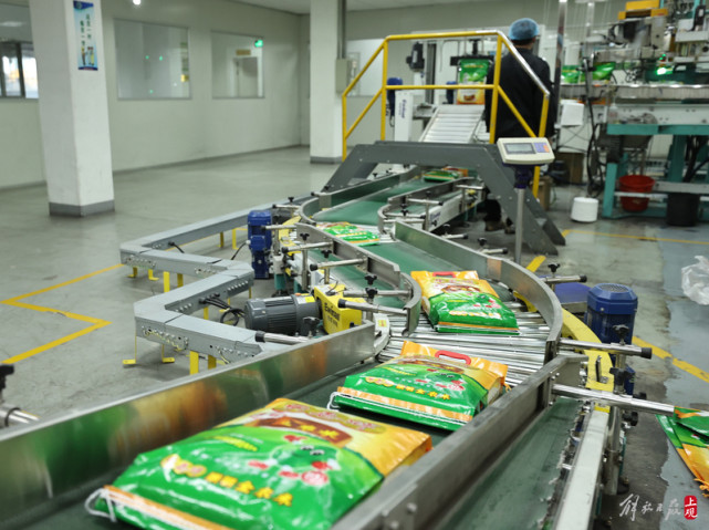 光明农发集团市区大米生产线增能20保障大米供应