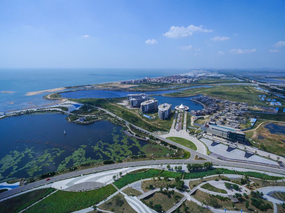 烟台栖霞首富王旭宁打造小家电制造龙头企业身家170亿